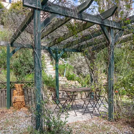 Casa Romanya * קלנג'ה